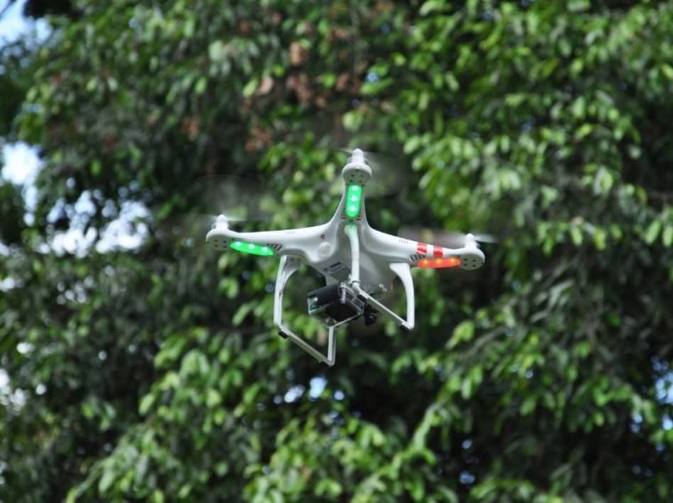 Phantom na floresta amazônica