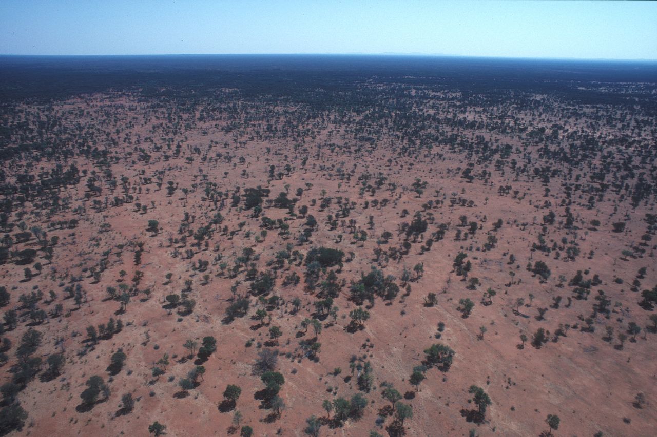 Regras de Drone na Austrália 2026: CASA, Multas e RePL