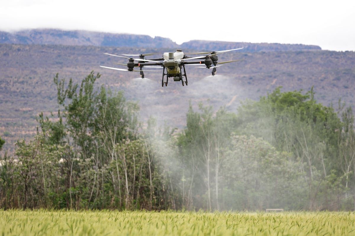 Drone reduz agrotóxico em até 40% no combate a pragas