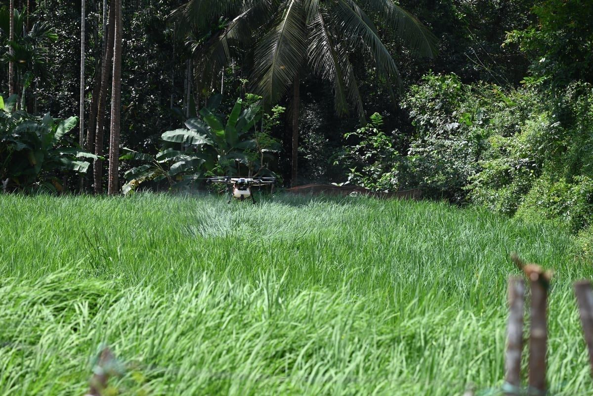 O agronegócio brasileiro descobriu os drones e não tem volta