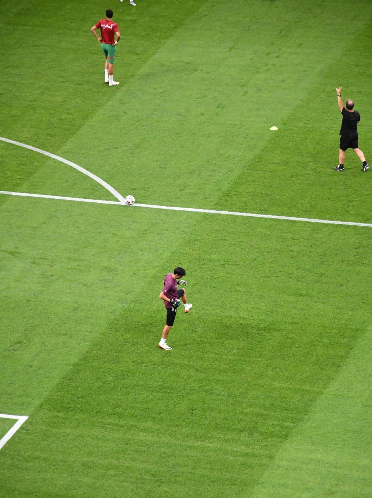 Copa do Mundo 2026 vai ter caçadores de drones protegendo os estádios